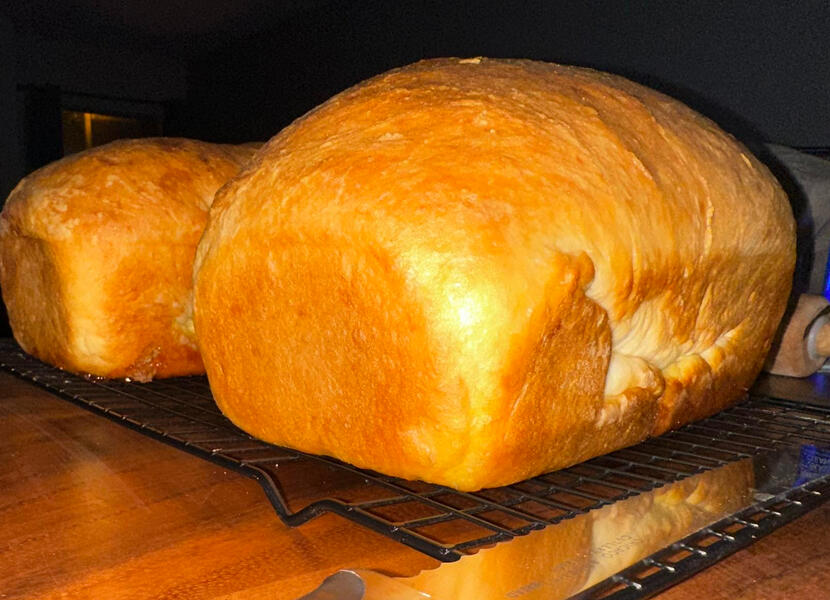 White Sandwich Bread